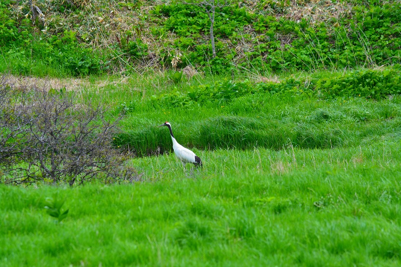 DSC_0036.jpg