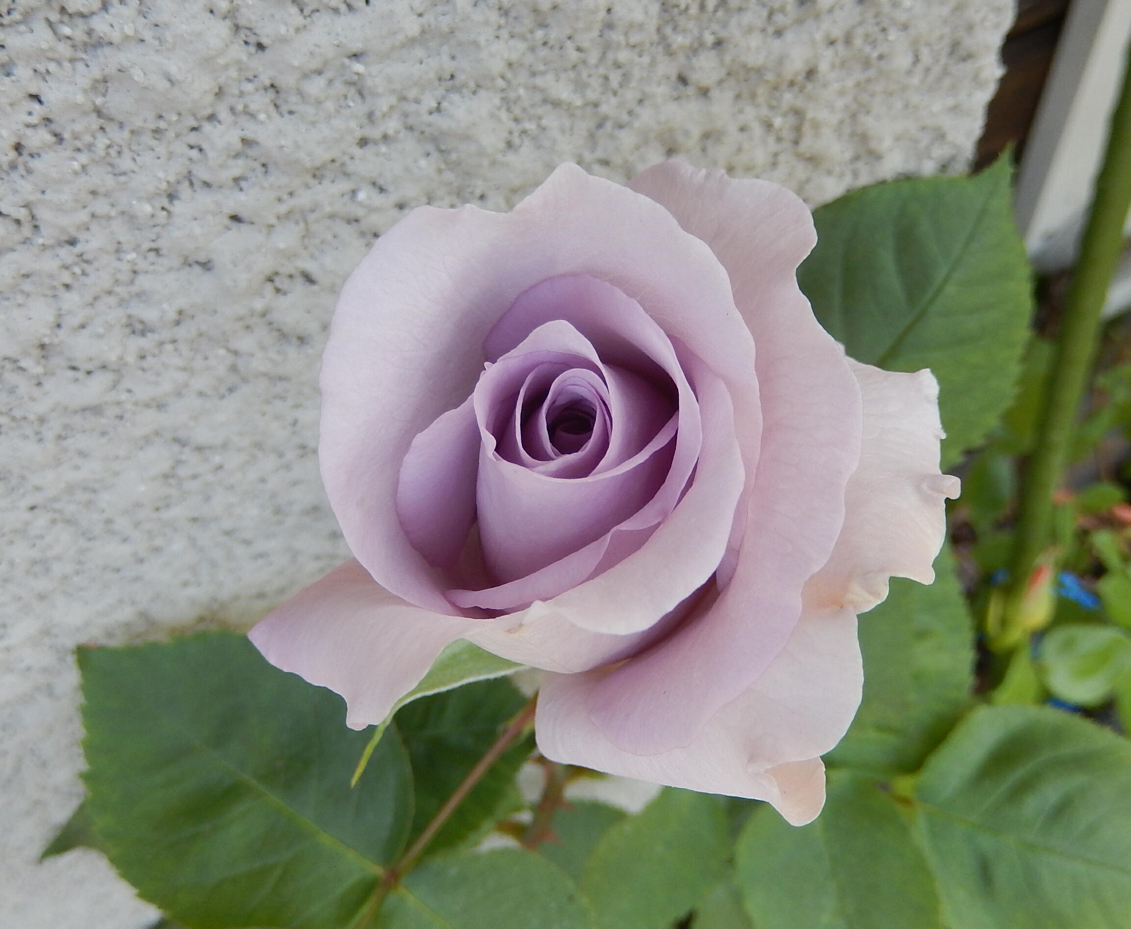 140510-6-8.jpg