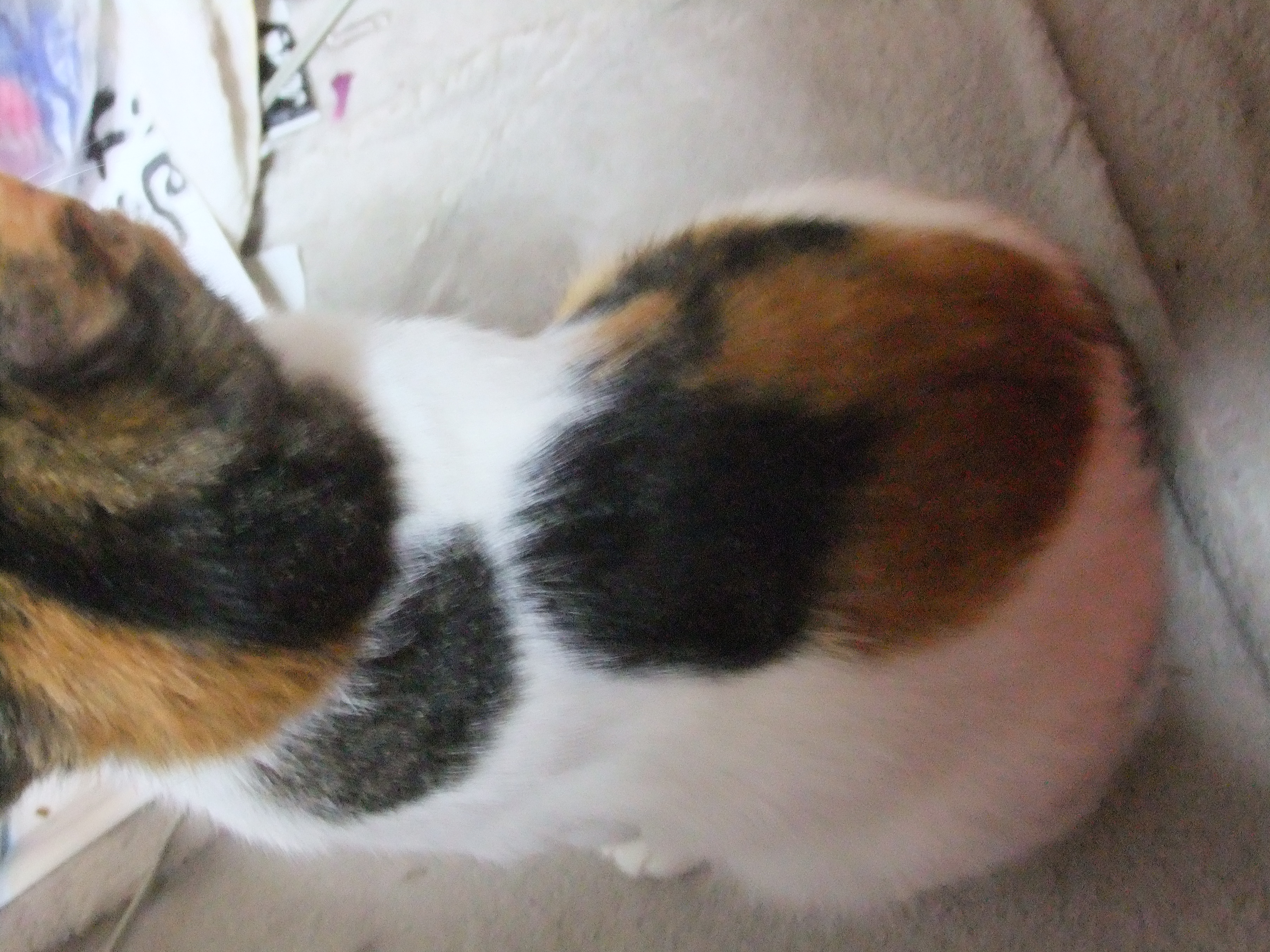 DSCF6995.JPG