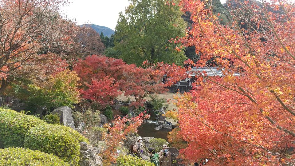 中津ダム渓石園 (21).jpg