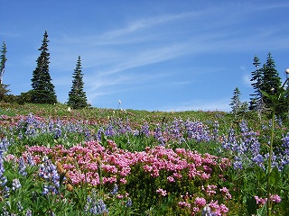 s-DSCF9308.jpg