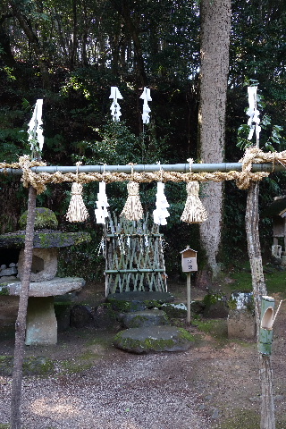 DSC03658.JPG