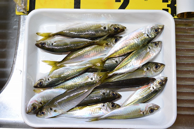 showPhoto (640×426)