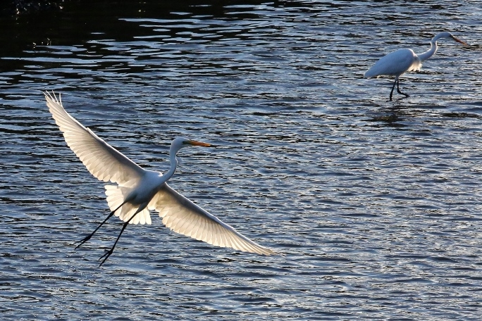 B97A7605 - コピー (1024x682).jpg