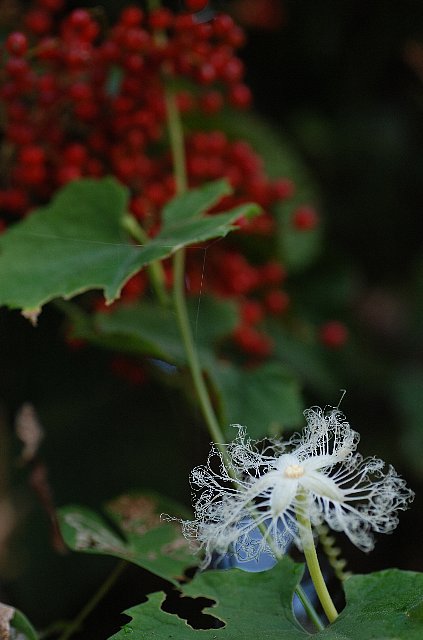 0928-4.jpg