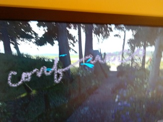 youngdo blind perspective path 2.jpg