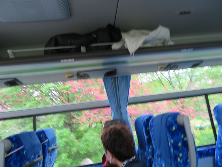 アルペンルート (100).jpg