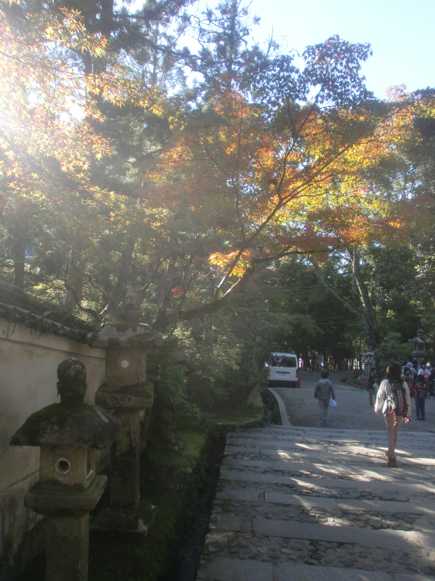 春日大社・紅葉