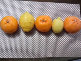 レモンとオレンジ2017