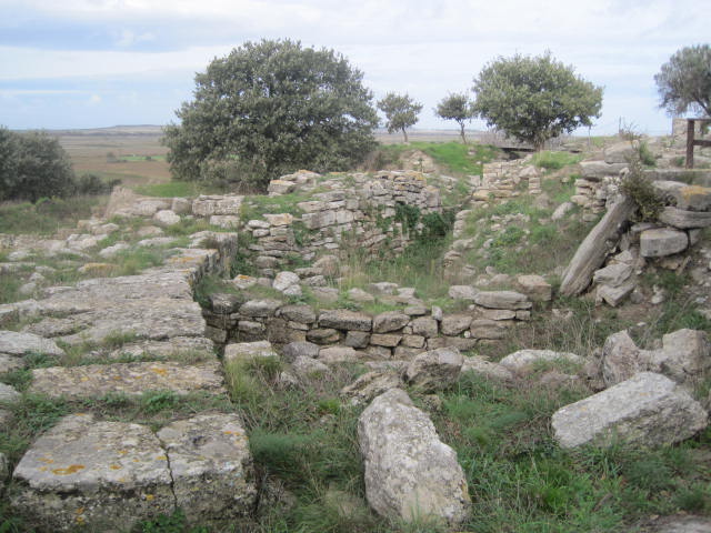 3757c27c3536fe1e7a0aa86640c6f00f077ab1eb.60.2.9.2 (2).jpg