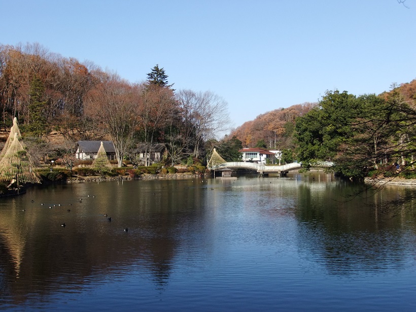 薬師池公園１20131214.JPG