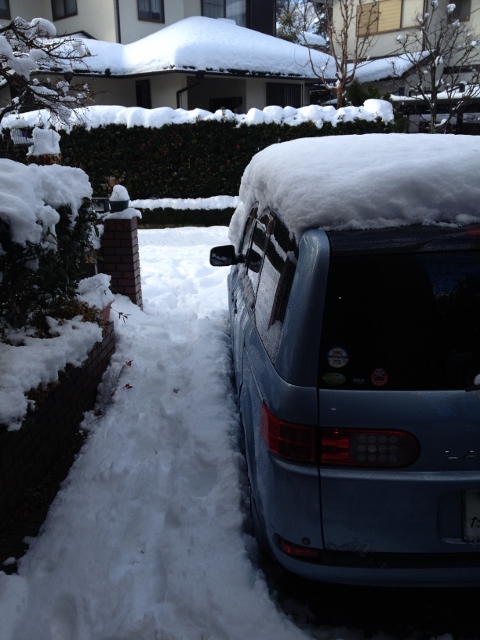 IMG_3849 (480x640).jpg