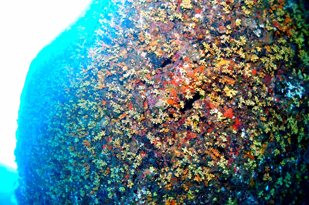 P8022284 (1024x682).jpg