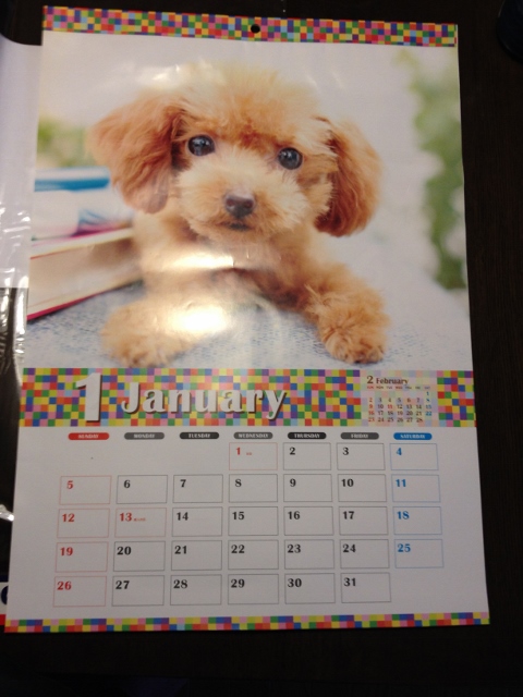 IMG_2517 (480x640).jpg