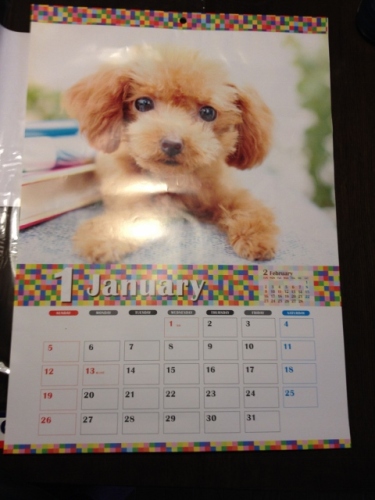 IMG_2517 (480x640).jpg