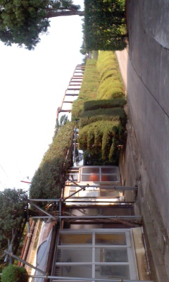 PA0_0434.JPG