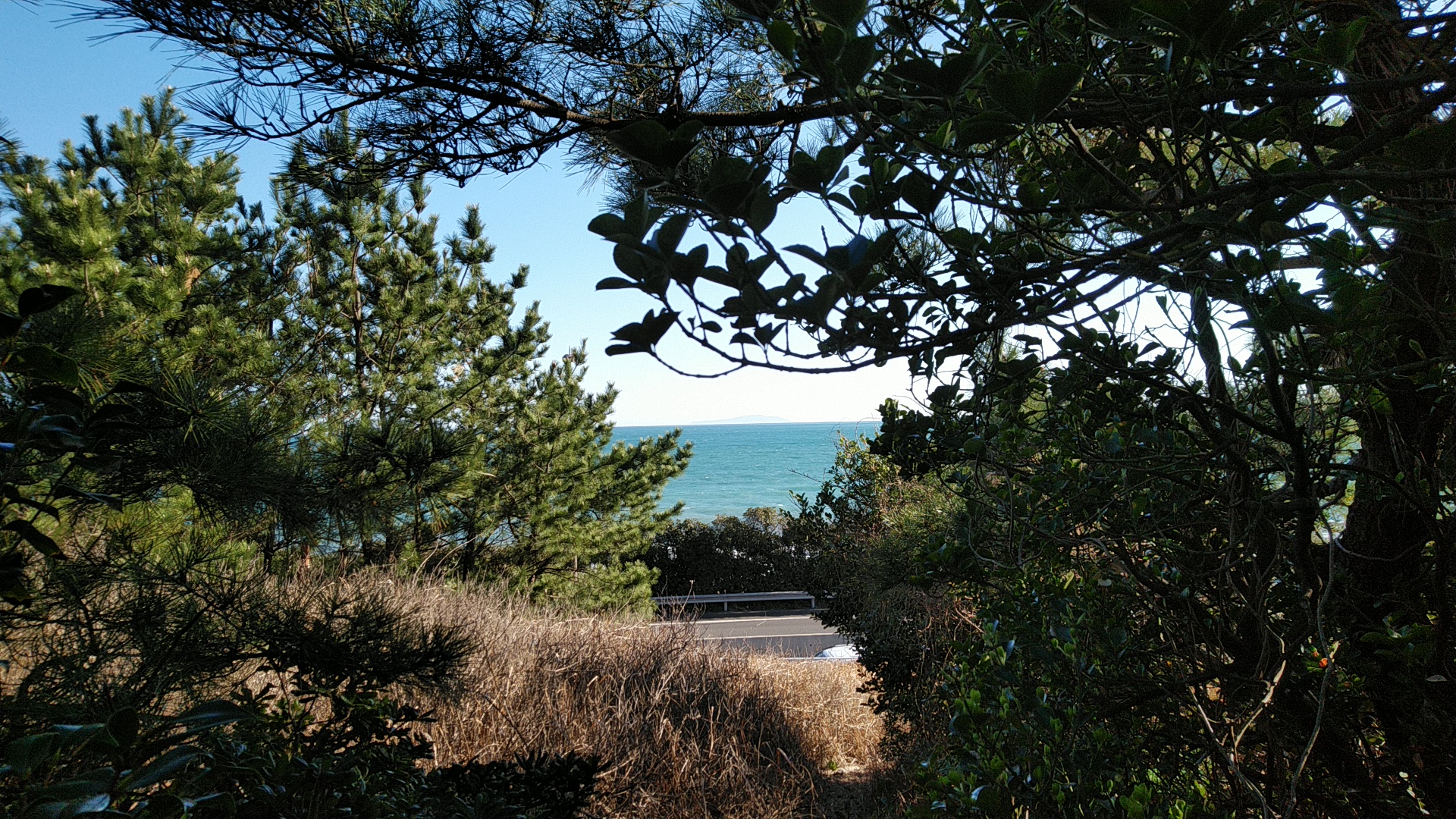 20200311  DSC_0011.jpg