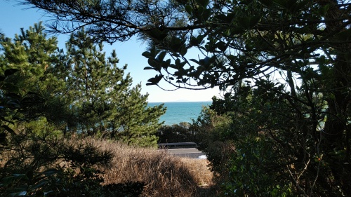 20200311  DSC_0011.jpg