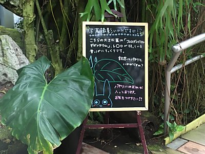 咲くやこの花館3.jpg