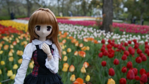 木曽三川公園チューリップ  陽菜ちゃん1.jpg