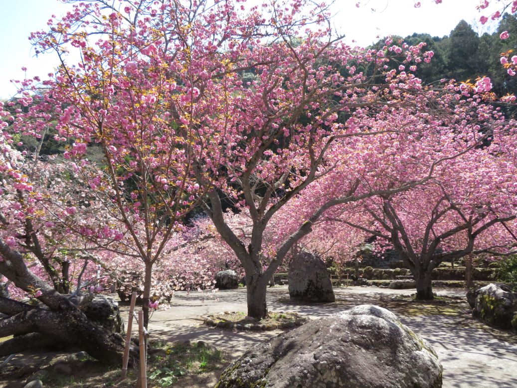 一心寺 (41).jpg