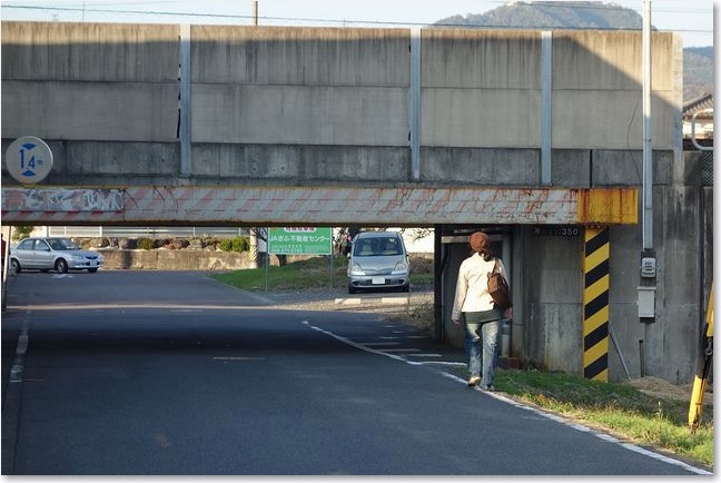 18高さ１．４ｍ！