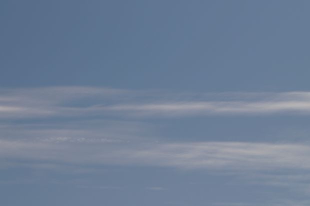 _DSC3156.JPG