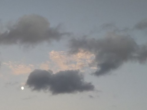白雲と黒雲と月2021.jpg