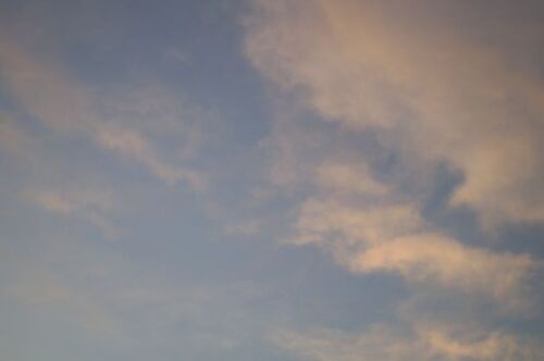 _DSC3063.JPG