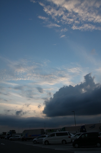 IMG_3149.jpg