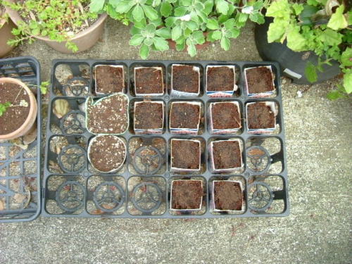 DSCF7577.JPG