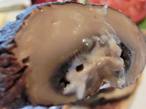 ポートベロ マッシュルーム バーガー　マッシュ　アップ.jpg