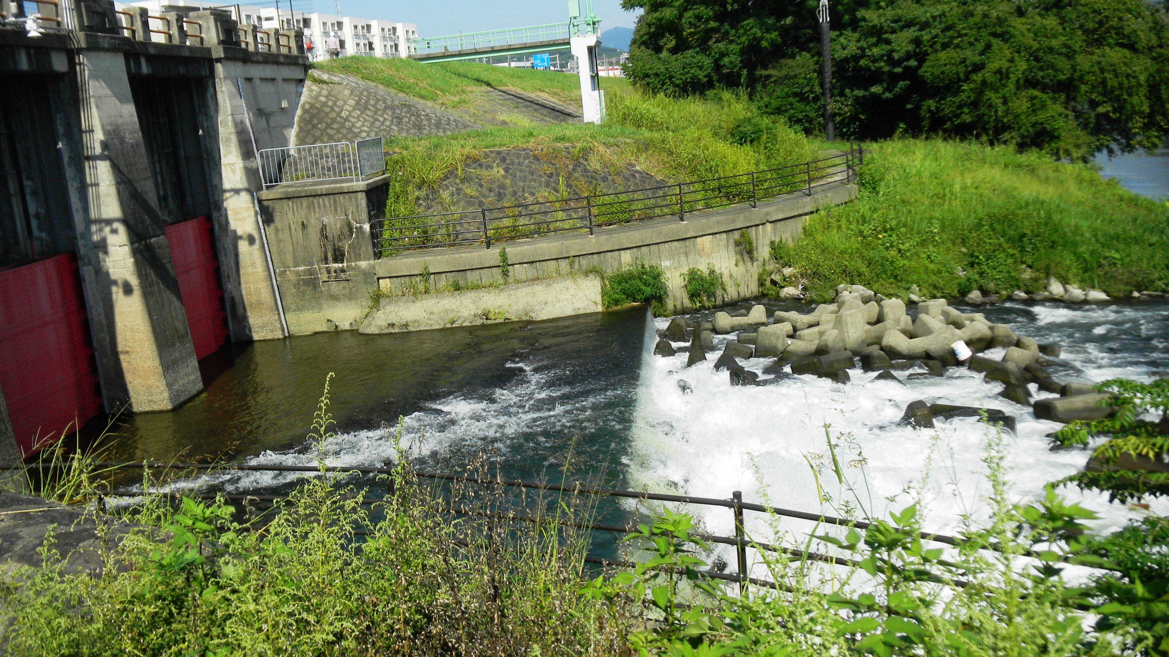 065豪川の宇治川への注ぎ口.JPG