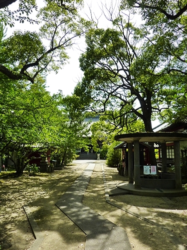 海岸寺奥の院.JPG