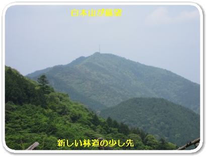 上深川（新しい林道２）_5854.jpg