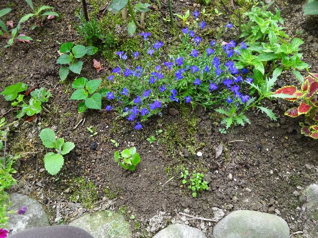 DSC04103.JPG