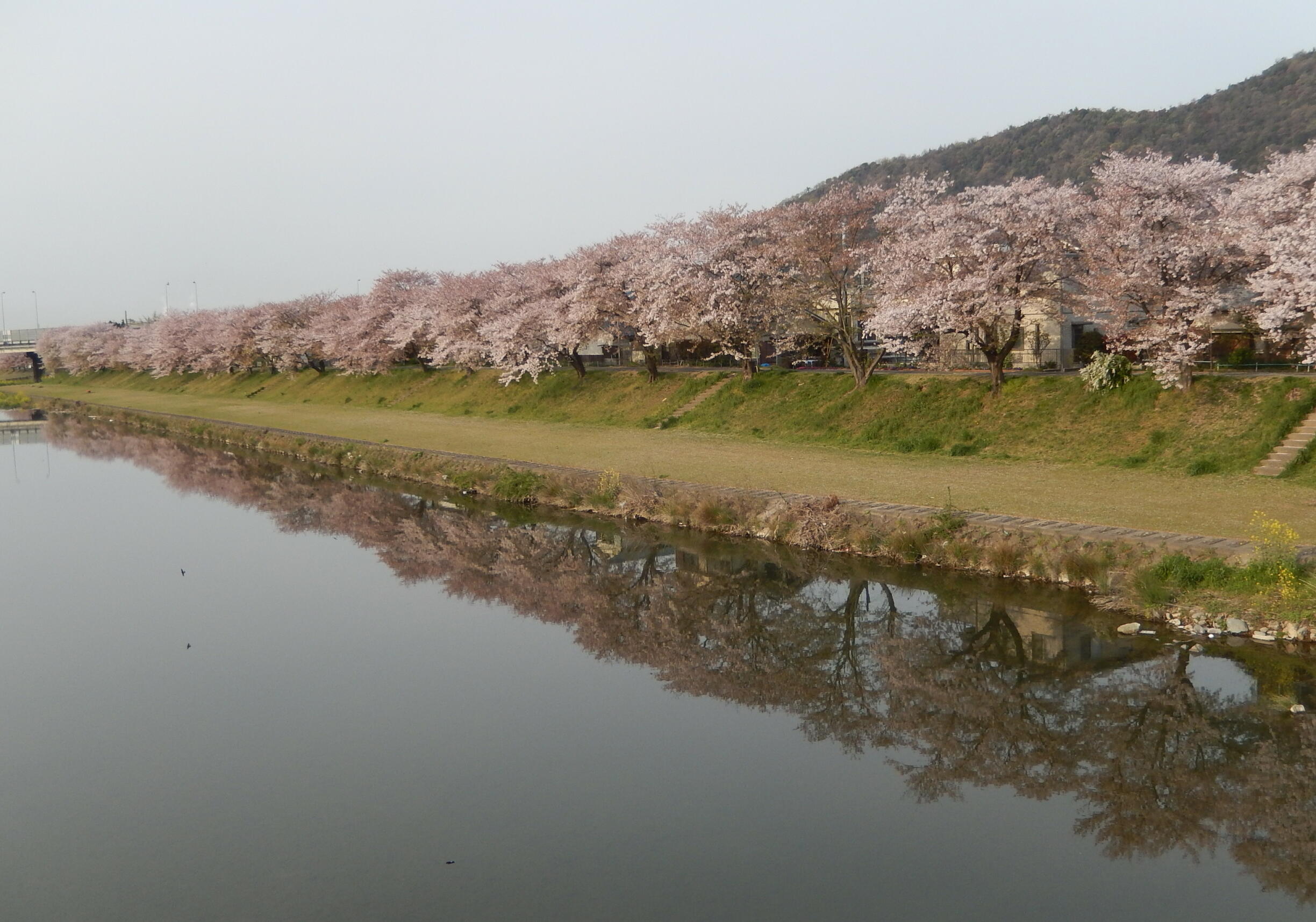 140413-1-7.jpg