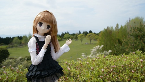 20150429植樹祭　01.jpg