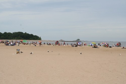 orchard beach1.jpg