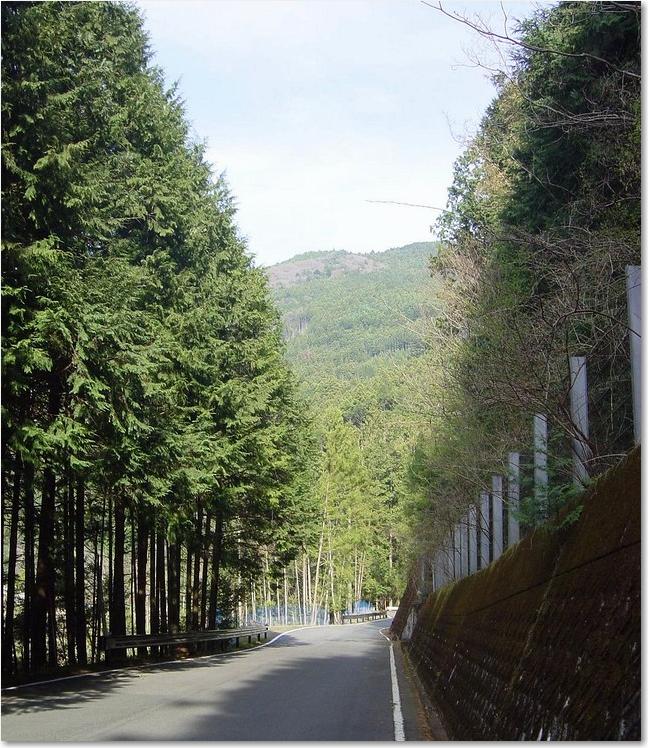 11まっすぐ山道.JPG