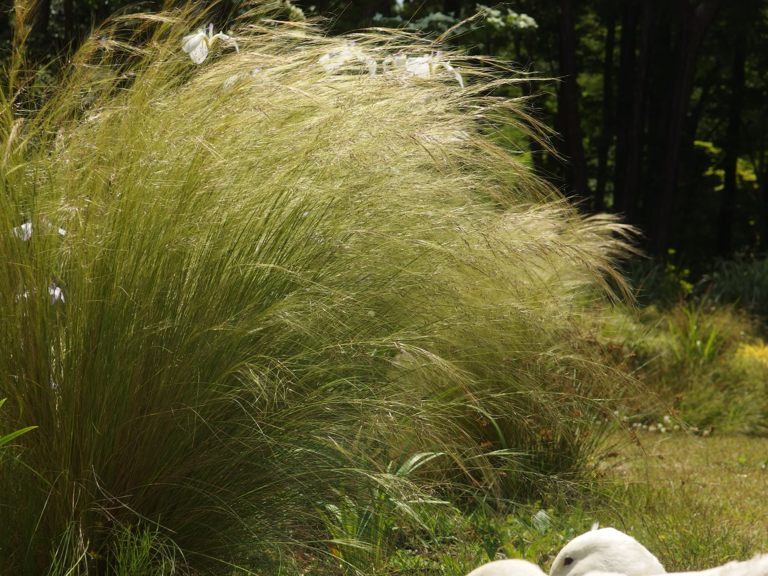 2015-06-10 12.12.01.jpg