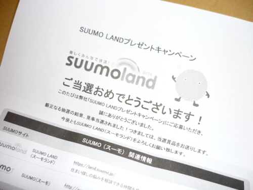 SUUMO LAND/カップとソーサーP1070218.JPG