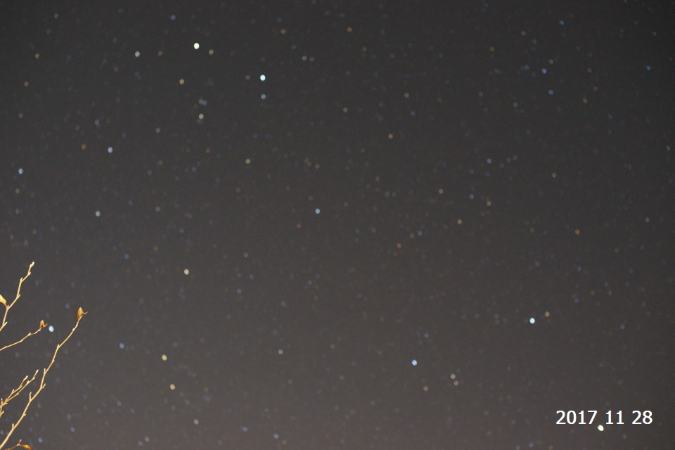 DSC01924 s.JPG