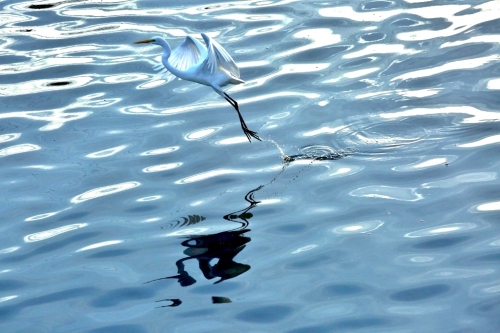 B97A6852 (1024x683).jpg