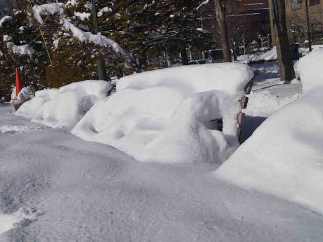 _DSC7807.JPG