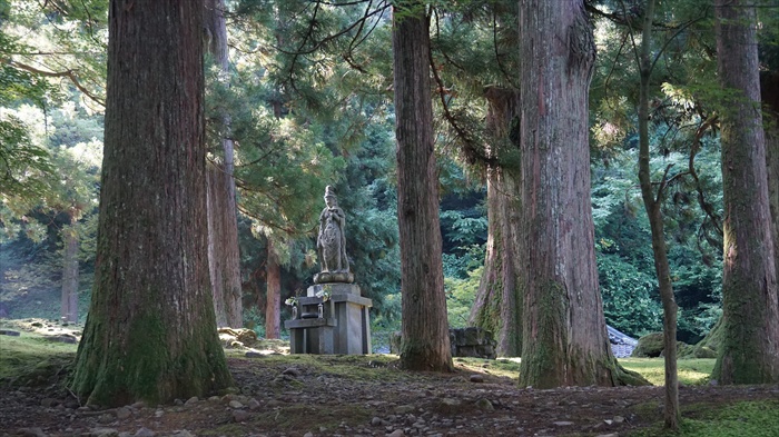 20150915 08134201.jpg