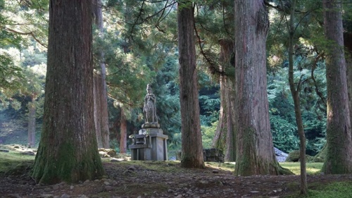 20150915 08134201.jpg