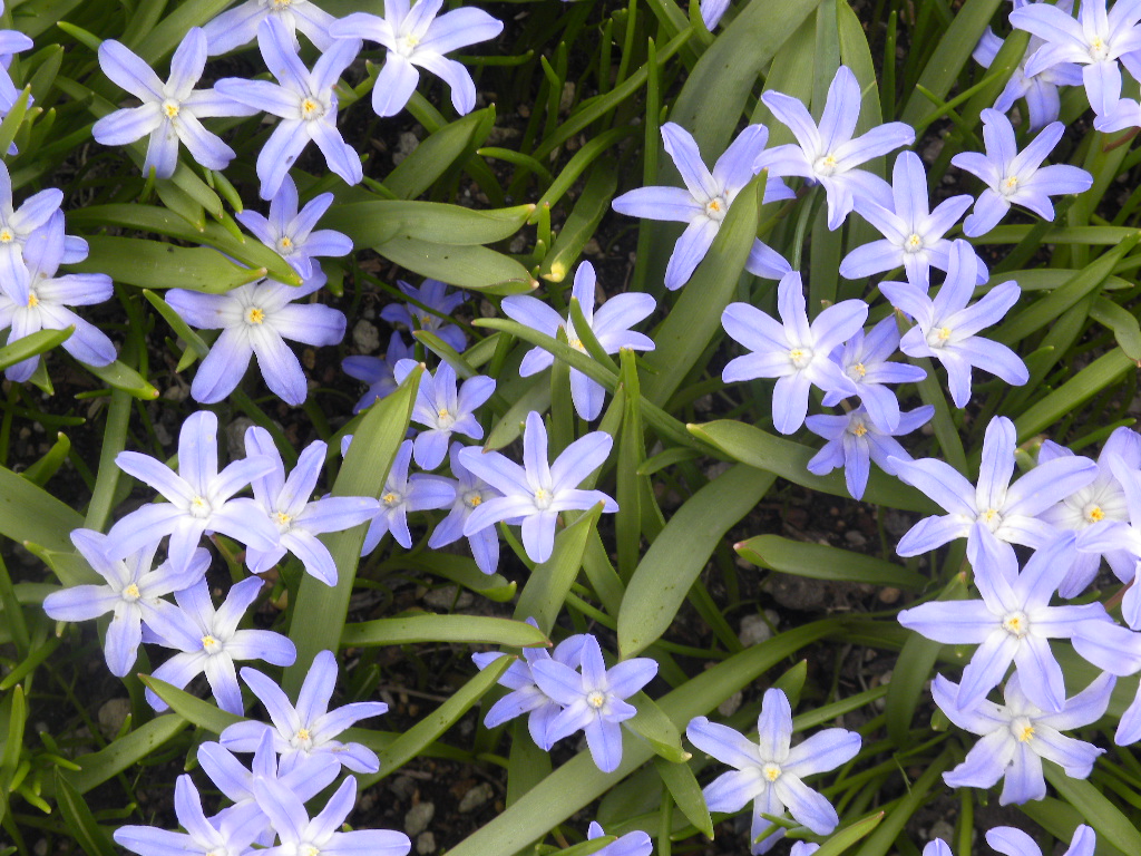 DSCN1044.JPG
