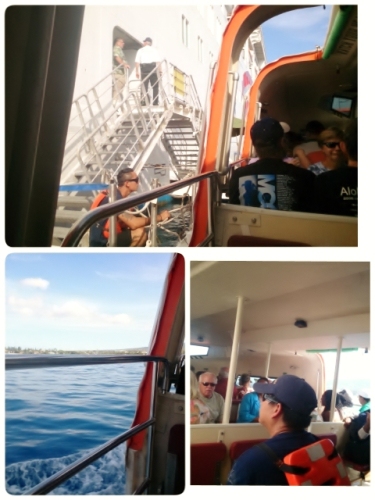 2014-10-02-16-14-02_deco (480x640).jpg