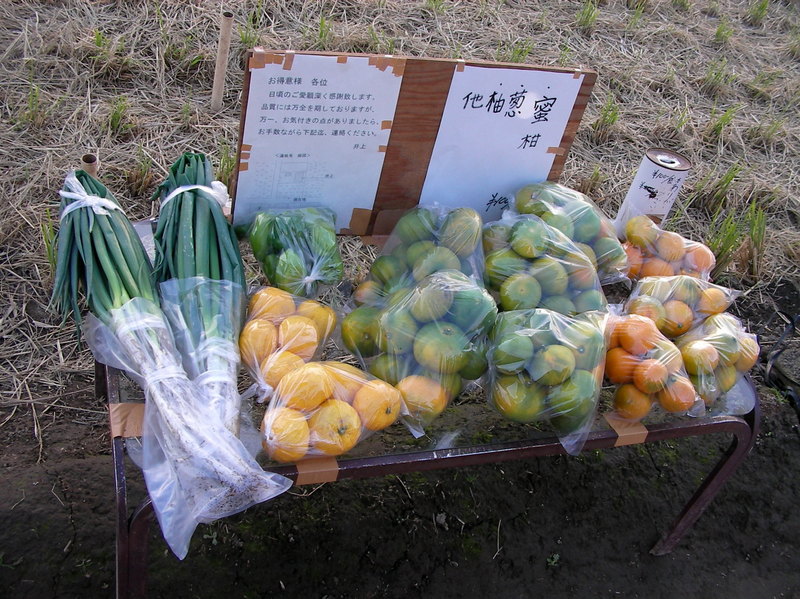 SANY0328.JPG
